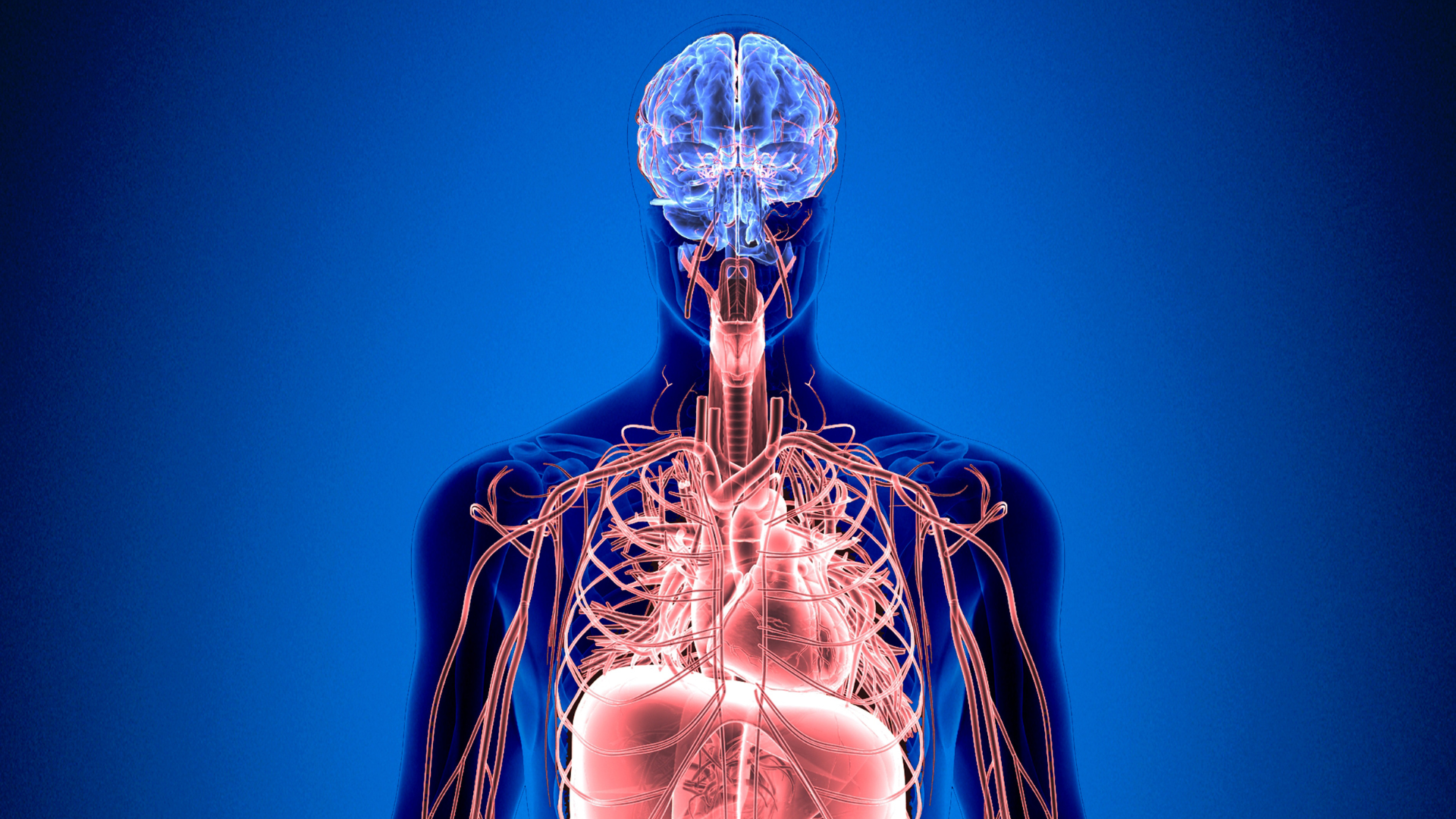 O Corpo Humano é Elétrico — e as Células Dependem de Voltagem